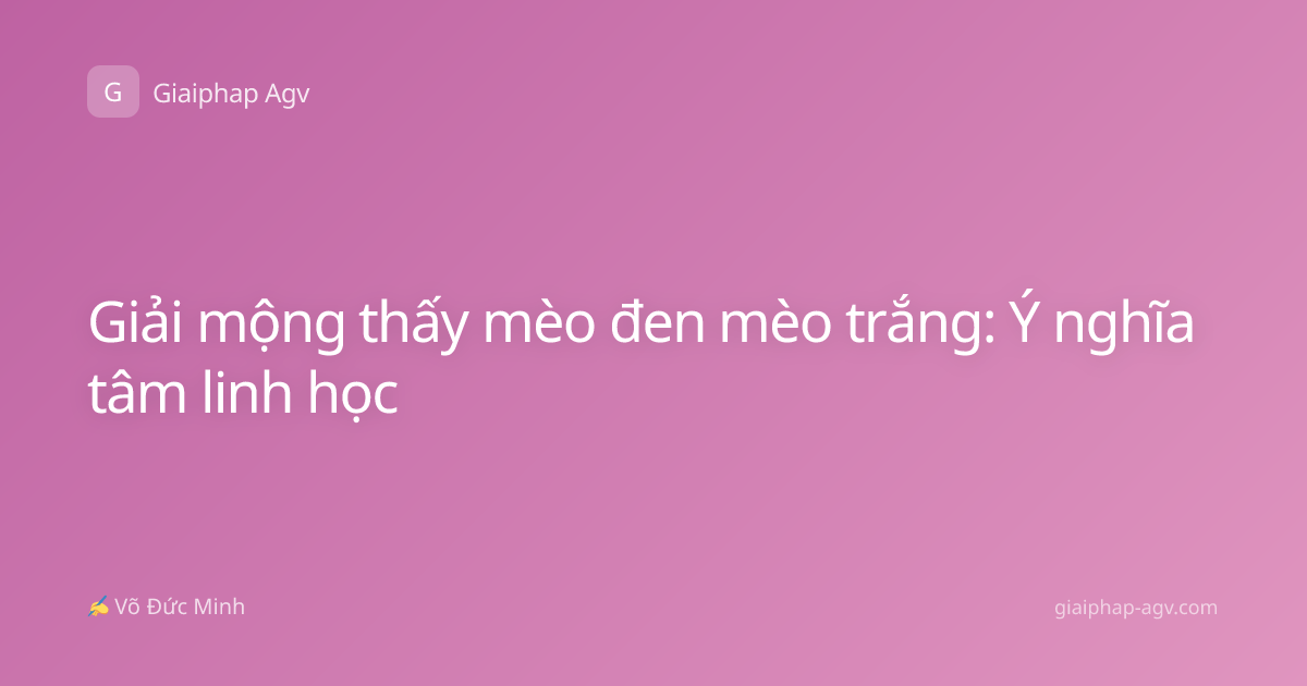 Giải mộng thấy mèo đen mèo trắng: Ý nghĩa tâm linh học